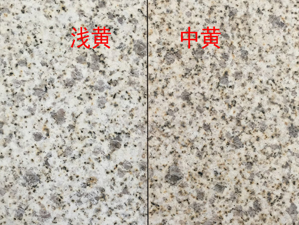 黃金麻荔枝面尺寸(圖3) 黃金麻荔枝面尺寸(圖3)