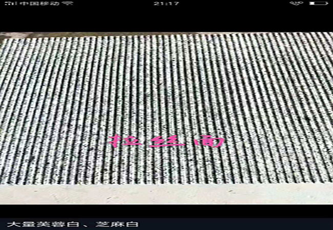 芝麻白石材2分厚報價(圖2) 芝麻白石材2分厚報價(圖2)