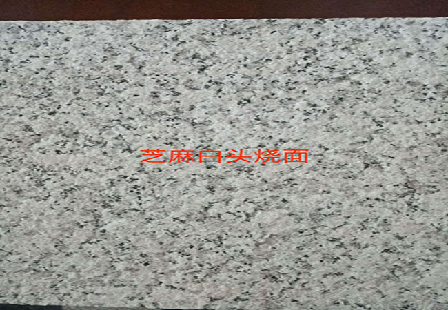 芝麻白和芝麻灰價(jià)格區(qū)別大嗎(圖2) 芝麻白和芝麻灰價(jià)格區(qū)別大嗎(圖2)