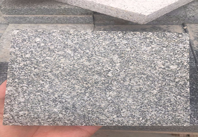 哪里有福建芝麻黑廠家(圖4) 哪里有福建芝麻黑廠家(圖4)