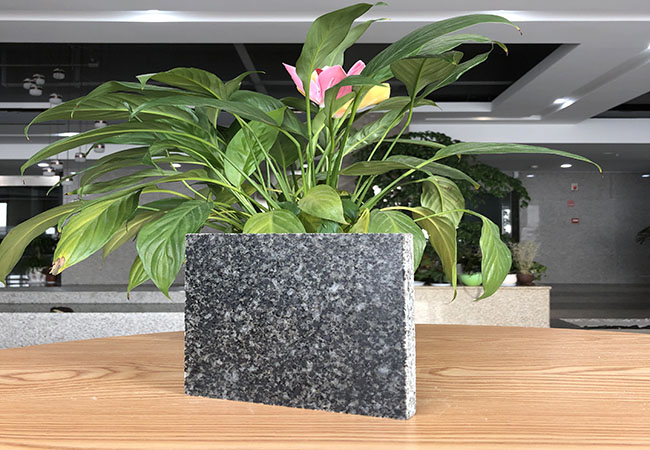 廠家推薦芝麻黑菠蘿面(圖3) 廠家推薦芝麻黑菠蘿面(圖3)