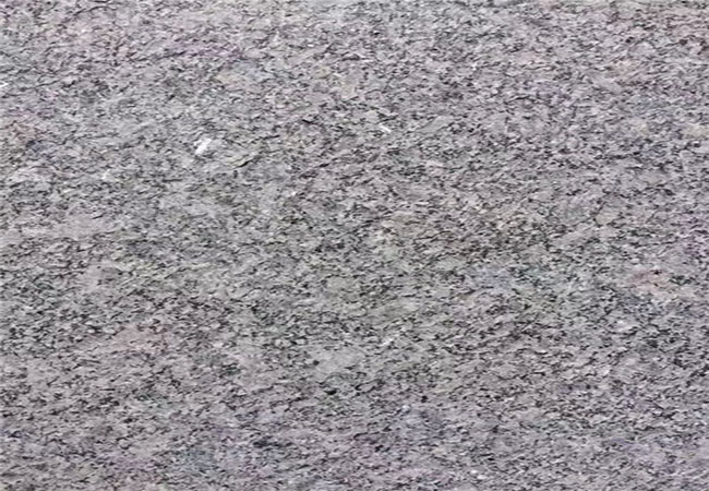 漳州芝麻黑價(jià)格行情多少(圖3) 漳州芝麻黑價(jià)格行情多少(圖3)