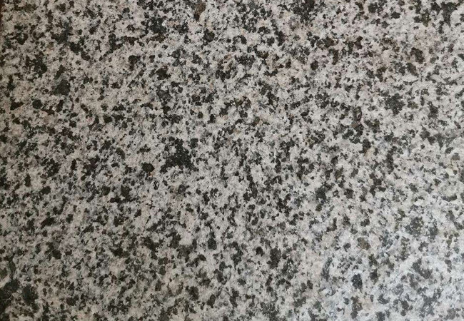 漳州芝麻黑價(jià)格行情多少(圖4) 漳州芝麻黑價(jià)格行情多少(圖4)